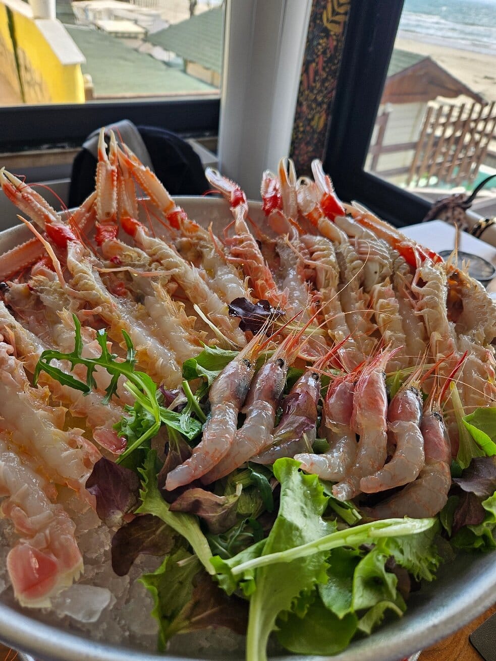 Crudo di mare · dal banco